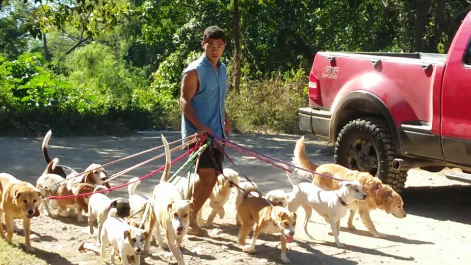 Dog Walker in Puerto Vallarta